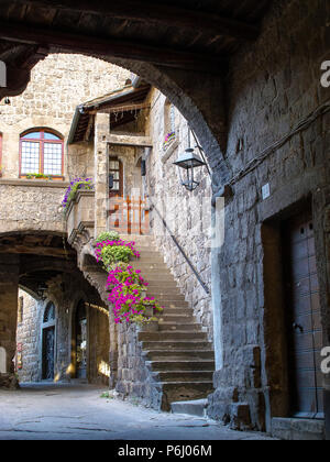 Case medievali nell antico quartiere di San Pellegrino a Viterbo (Italia) Foto Stock