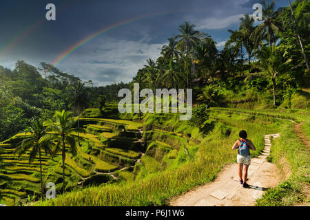 Tegalalang riso piantagione terrazza a Bali, Indonesia. Foto Stock