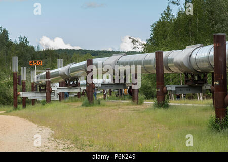 L'elevata Trans-Alaskan oleodotto all'Alyeska Pipeline del centro visitatori a Fairbanks, Alaska. Il 4-piede largo pipeline serpenti attraverso 800 miglia di Alaskan wilderness che trasportano petrolio greggio da Prudhoe Bay a Valdez, Alaska. Foto Stock