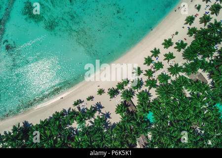 Vista aerea di Tropical Island Beach, Repubblica Dominicana Foto Stock
