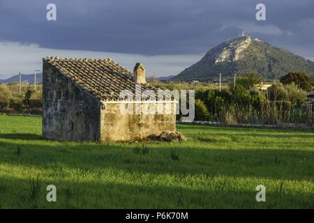 Huertos en el camino de Almadrava, con El Puig de Sant Marti al fondo. Reserva Natural de l'Albufereta, Pollença, Mallorca, Islas Baleares, Spagna. Foto Stock