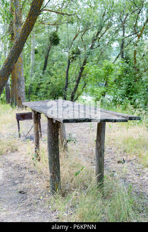 Vecchia tabella vintage nella foresta. Abbandonato posto picnic nella foresta, parco. Messa a fuoco selettiva. Vista verticale. Foto Stock