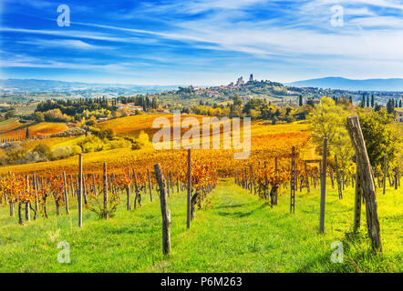 Panorama di San Gimignano City e i vigneti intorno a questo italiano bella città (patrimonio UNESCO), Italia Foto Stock