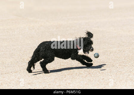 Blackpool, Lancashire, 1 lug 2018. Regno Unito: Meteo Sunny torrida giornata presso la costa come per i fanatici del sole godetevi incantesimo sulla spiaggia prima di essere inseguita dalla marea. Credito: MediaWorldImages/AlamyLiveNews Foto Stock