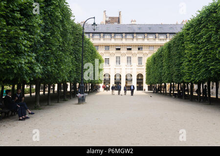 Filari di alberi nel Palais Royal Garden a Parigi, Francia. Foto Stock