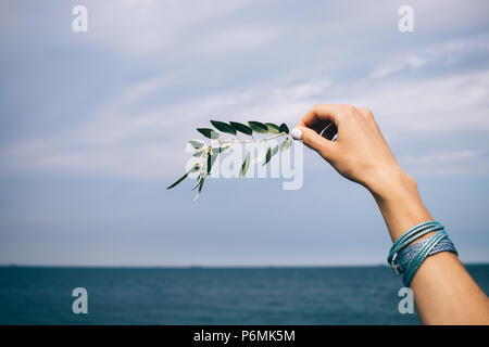 La femmina mano che regge un ramo d'ulivo contro il blu del mare e del cielo. La libertà e la pace concetto simbolico. Foto Stock