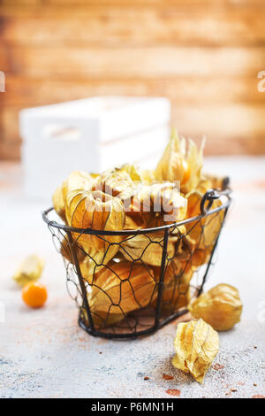 Physalis o poha bacche, semplicemente acini dorati, groundcherries, Inca peruviana berry, Cape gooseberry. Foto Stock