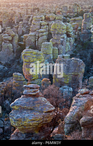 La luce del tramonto sul hoodoos di Echo Canyon in Chiricahua National Monument, southeastern Arizona. Foto Stock