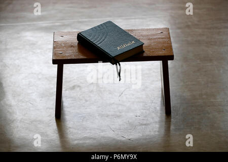 Alleluia : Christian Lode e Adorazione libro dei Canti. Servizio protestante. Cluses. La Francia. Foto Stock