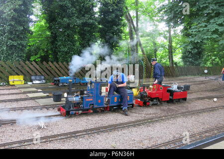 Il pubblico mensile in esecuzione a Delapre Park, Northampton è un popolare gita per treno a vapore, gli appassionati di adulti e ragazzi uguali; 50p un giro Foto Stock