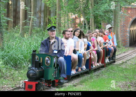 Il pubblico mensile in esecuzione a Delapre Park, Northampton è un popolare gita per treno a vapore, gli appassionati di adulti e ragazzi uguali; 50p un giro Foto Stock