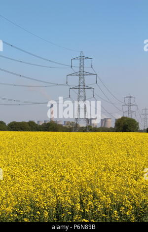 Giallo olio di colza campo con tralicci di energia elettrica e la stazione di alimentazione in background nella campagna dello Yorkshire Foto Stock