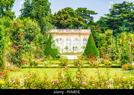 La spettacolare giardino di rose entro il Parc de Bagatelle a Parigi, Francia Foto Stock