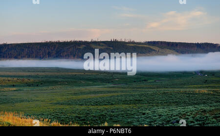 Foschia sopra Hayden Valley Foto Stock