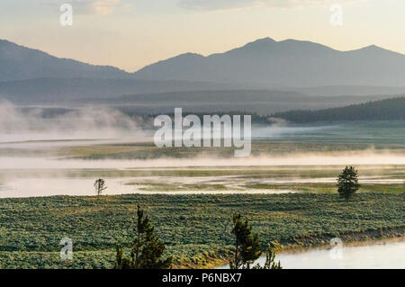 Foschia sopra Hayden Valley Foto Stock