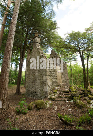 I resti di un cottage in pietra con terreno cancellata attorno ad esso nel bosco in prossimità di Hawes lago d acqua in Silverdale con cartelli di avvertimento di non entrare. Hawes Wa Foto Stock