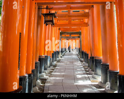 I turisti giapponesi esplorare Fushimi Inari Taisha a Kyoto, in Giappone. Lungo il percorso principale ci sono più di 10000 torii gates. Foto Stock