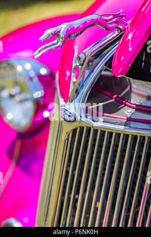 La profondità di campo di una vista dettagliata del greyhound e V8 ornamento del cofano su una personalizzazione 1936 Ford Modello 48 Coupe. Foto Stock