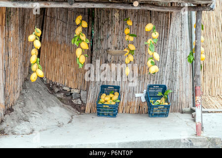 Supporto tipici dei grandi limoni per la vendita in Costa d'Amalfi, Campania, Italia Foto Stock