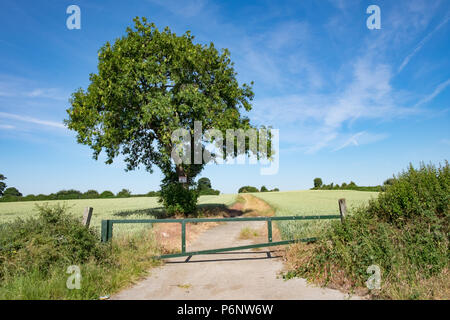 Bramley Moor Lane, Marsh Lane, Derbyshire. Il 2 luglio 2018. Ineos hanno chiesto di praticare un test ben per esplorare shale riserve di gas. Foto Stock