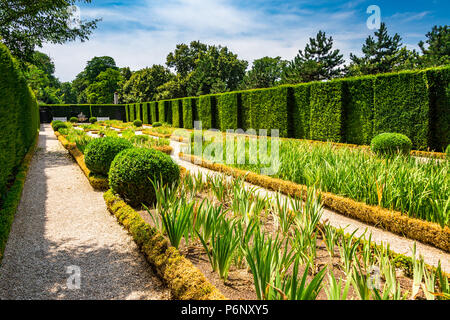 Il Giardino di Iris entro il Parc de Bagatelle a Parigi, Francia Foto Stock