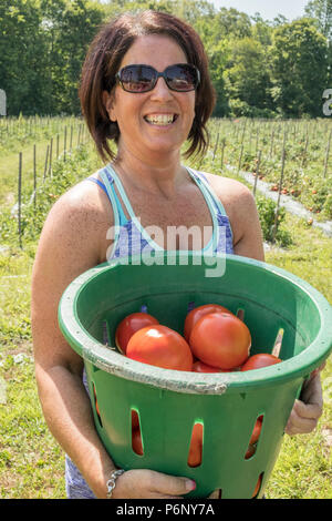 Una donna felice con un cesto di pomodori che ha appena preso.portante Foto Stock