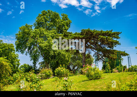 Parc de Bagatelle è stato votato come uno dei dieci migliori giardini più belli al mondo. Si trova all'interno del Bois de Boulogne di Parigi, Francia Foto Stock