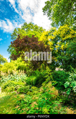 Parc de Bagatelle è stato votato come uno dei dieci migliori giardini più belli al mondo. Si trova all'interno del Bois de Boulogne di Parigi, Francia Foto Stock