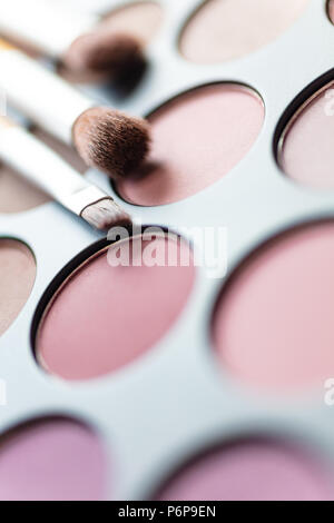 Macro close up photogaph del make up o trucco pallet e spazzole Foto Stock