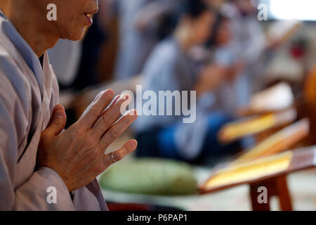 Chua Tu un tempio buddista. Monaco in vietnamita anno nuovo ( Tet ) celebrazione. Saint-Pierre en Faucigny. La Francia. Foto Stock