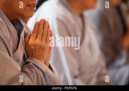 Chua Tu un tempio buddista. Monaco in vietnamita anno nuovo ( Tet ) celebrazione. Saint-Pierre en Faucigny. La Francia. Foto Stock