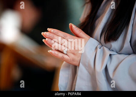 Chua Tu un tempio buddista. Il vietnamita nuovo anno ( Tet ) celebrazione. Saint-Pierre en Faucigny. La Francia. Foto Stock