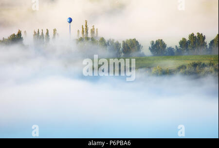 Boscoso pendio di montagna in basso il cloud con il sempreverde conifere avvolta nella nebbia in un paesaggio panoramico vista Foto Stock