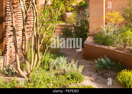 M&G mostrano giardino giardino alla RHS Chelsea Flower Show 2018. Progettato da Sarah Prezzo e costruito dal Crocus. Foto Stock