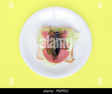 Offerta di fast food con insetti commestibili. Un scarafaggio fritto con  patatine fritte in tazza Foto stock - Alamy