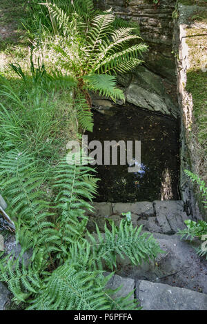 Chiesa di Santa Maria, Pilleth, nei pressi di Knighton, Powys, Wales, Regno Unito. L'antico pozzo santo è detto di avere proprietà curative per gli occhi. Foto Stock