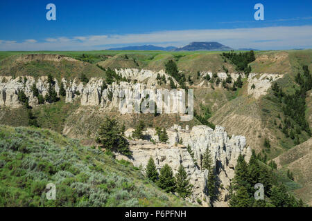 Bianche Scogliere in freccia creek si rompe sotto square butte vicino geraldine, montana Foto Stock