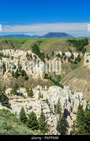 Bianche Scogliere in freccia creek si rompe sotto square butte vicino geraldine, montana Foto Stock