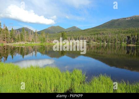 Parco Nazionale delle Montagne Rocciose in Colorado, Stati Uniti d'America. Ratti Sprague Lago. Foto Stock