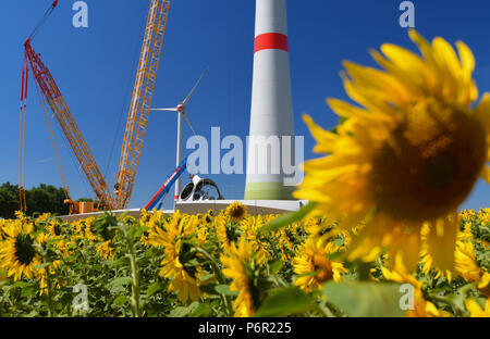 Mallnow, Deutschland. Il 29 giugno, 2018. 29.06.2018, Brandeburgo, Mallnow: una nuova turbina eolica è istituita dietro un giallo brillante fioritura campo di semi di girasole. Il potenziamento è attualmente in fase di sviluppo. Le turbine eoliche di prima generazione saranno sostituiti da turbine moderne, diverse nuove piante. Credito: Patrick Pleul/dpa-Zentralbild/ZB | in tutto il mondo di utilizzo/dpa/Alamy Live News Foto Stock