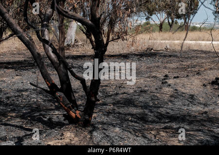 Kibbutz Nahal Oz, Israele. 2 Luglio, 2018. Le conseguenze di una ondata di incendi dolosi Palestinese terrorismo, ora di entrare nel suo quarto mese, è evidente nei pressi di Nahal Oz, nel Shaar HaNegev Consiglio Regionale, vicino alla striscia di Gaza. Firebombs ed esplosivi vengono consegnate dalla striscia di Gaza in Israele per mezzo di volo degli aquiloni e riempito di elio palloncini. Una quarantina di chilometri quadrati di campi agricoli e terreni forestali sono stati accesi. Foto Stock