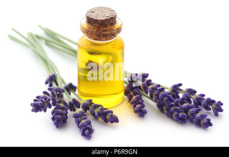 Olio di lavanda con fiore su sfondo bianco Foto Stock