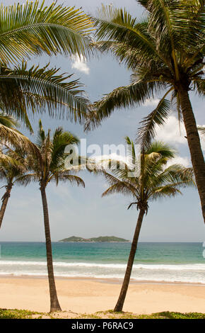 Il Tropical, spiaggia orlata di palme di Haitang Bay è in fase di sviluppo per il turismo del governo cinese Foto Stock