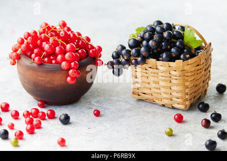Appena raccolto i frutti di bosco. Ribes rosso in una ciotola e accanto ad un piccolo cesto in vimini di freschi ribes nero. Foto Stock