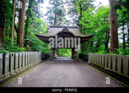 Pilastri di pietra passerella di linea a Giapponese cancello di legno nella foresta Foto Stock