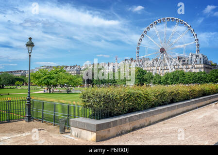 Giardino delle Tuileries, ruota panoramica Ferris in background, Parigi, Francia Foto Stock