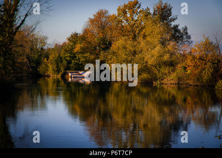 Alberi riflessioni sul fiume Sile a Casale sul Sile (Veneto, Italia settentrionale) Foto Stock