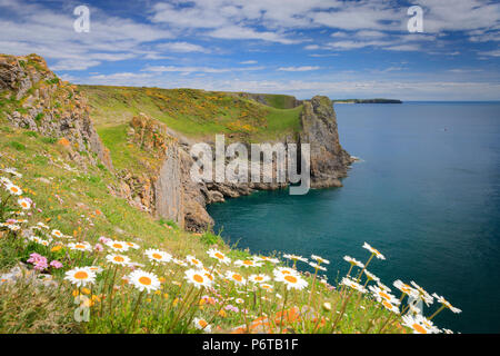 Lydstep nr Tenby Pembrokeshire Galles con isola di Caldey in background Foto Stock