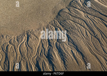 Disegni realizzati da onde sfuggente su Shi Shi Beach lungo l'Oceano Pacifico nel Parco Nazionale di Olympic, nello Stato di Washington, USA Foto Stock