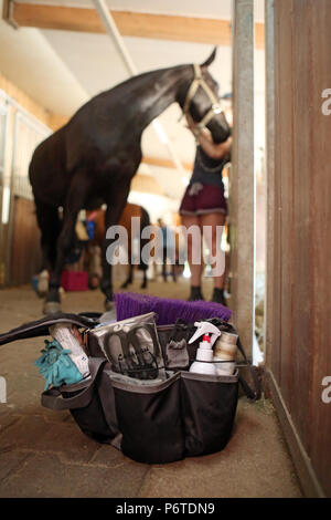 Oberoderwitz, Symbolfoto, giovane donna pulizia il suo cavallo in Stallgasse Foto Stock